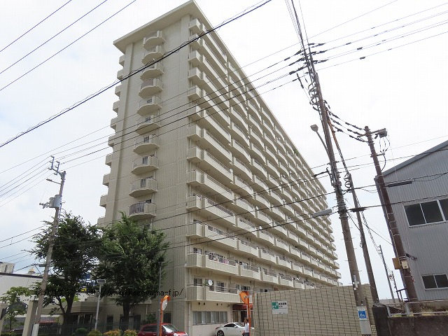 25画像